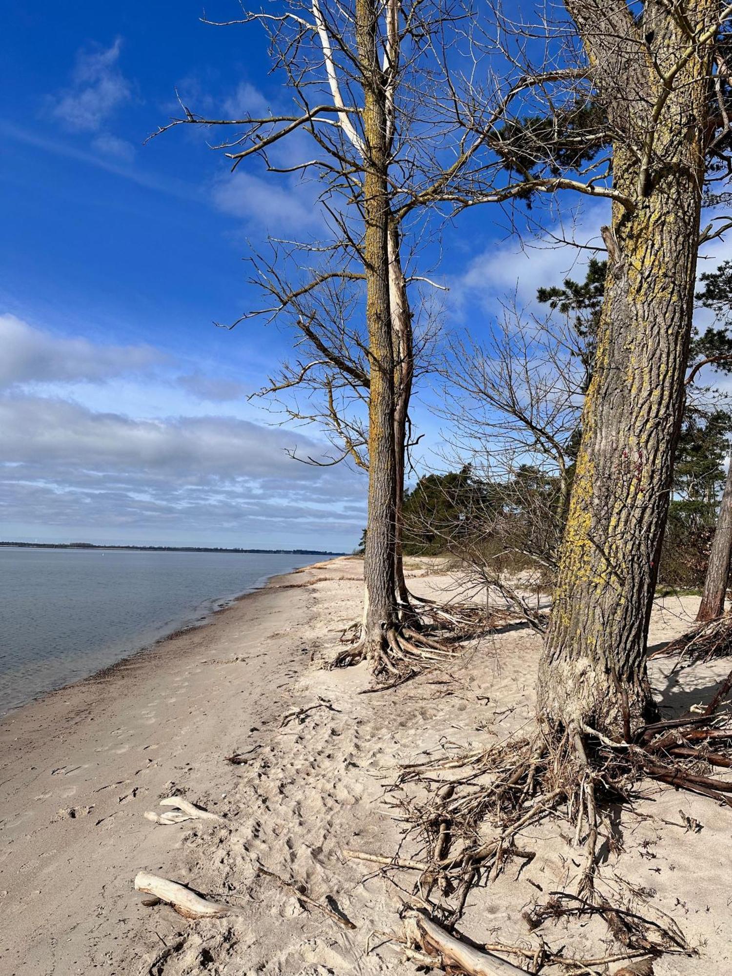 Вилла Reetdachhaus Holunder 2 Puddemin Экстерьер фото